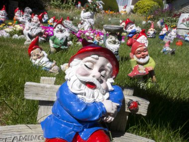  Cüceler, Falkland Adaları Bahçe dolu,
