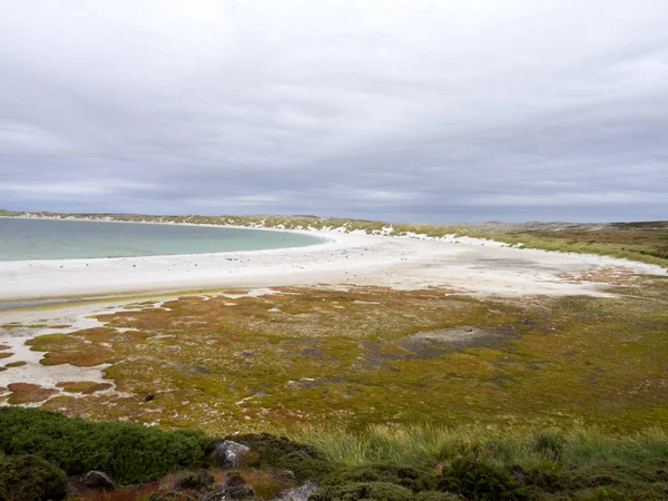 Gypsy Cove Falklands Islands — Stock Photo, Image