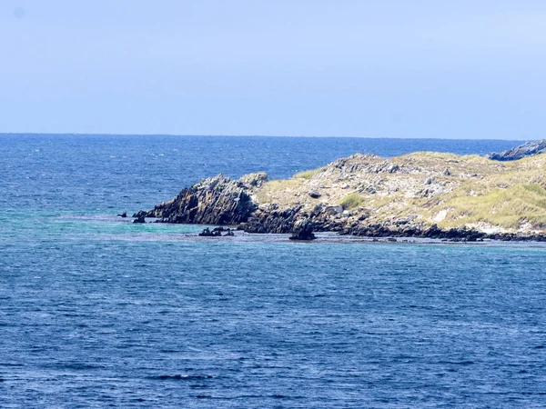 Gypsy Cove Falklands Islands — Stock Photo, Image