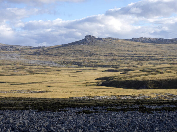 The inhospitable landscape of Stanley Island, Falkland Islands - Malvinas