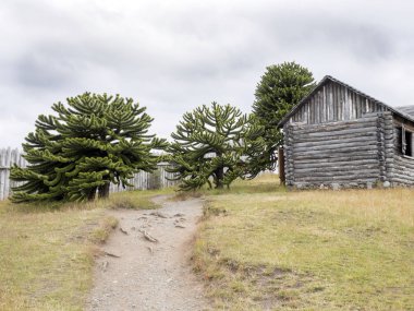 Kopya Bulnes Ford, Patagonya, Şili