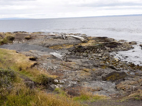 Magallanes Boğazı, Bulnes Ford, Patagonia, Şili