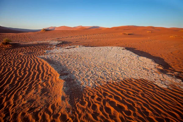 Dry Tree Dry Lake Sossusvlei Namibia — Stock Photo, Image