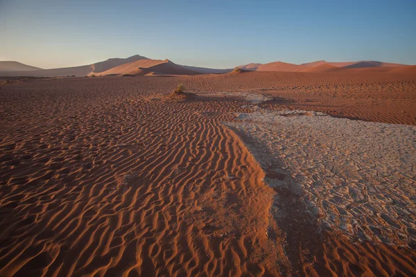 Droge Boom Een Droge Lake Sossusvlei Namibië — Stockfoto