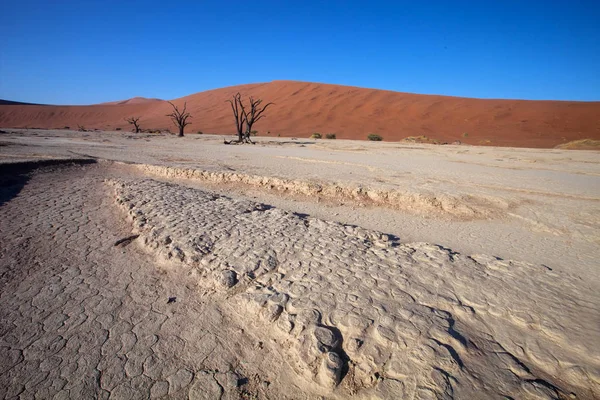 乾燥湖ソーサス フライ ナミビア — ストック写真