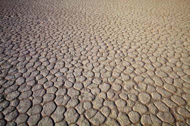  bir kuru göl Sossusvlei, Namibya