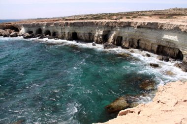 Vahşi doğa Cape Greco Yarımadası, Kıbrıs