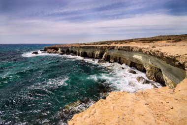 Vahşi doğa Cape Greco Yarımadası, Kıbrıs