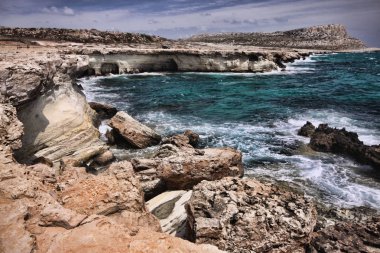 Vahşi doğa Cape Greco Yarımadası, Kıbrıs