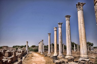 Önemli tarihi kalıntılar Salamis, Kuzey Kıbrıs Türk Cumhuriyeti