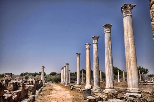 Belangrijke Historische Ruïnes Van Salamis Noord Cyprus — Stockfoto