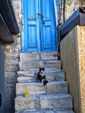 Kediler Street, Limassol, Kıbrıs