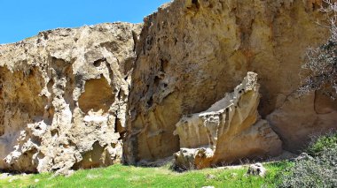 bir rock boşluğunda bitki bahar Cypru