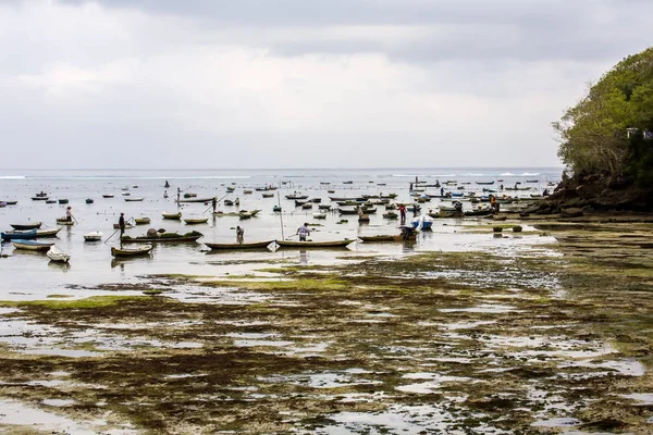 Plantaciones Algas Marinas Marea Baja Lembongan Indonesia — Foto de Stock