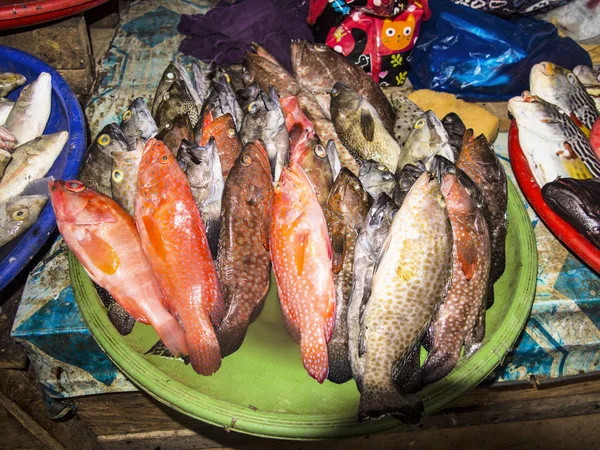 Frutos Mar Frescos Mercado Labuan Bayo Indonésia — Fotografia de Stock