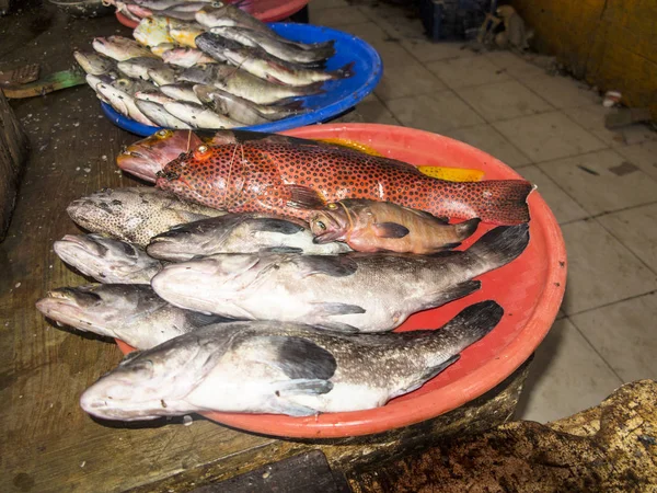 Frutos Mar Frescos Mercado Labuan Bayo Indonésia — Fotografia de Stock