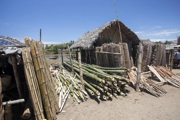 Fűrészáru Eladó Madagaszkár — Stock Fotó