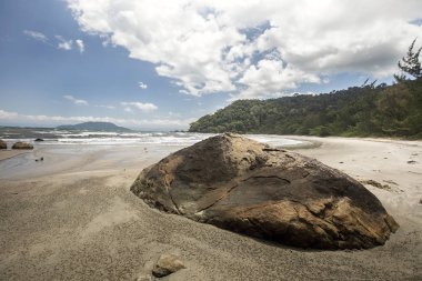kıyı bitki örtüsü Kuzey Doğu Madagaskar
