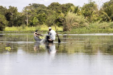  Hayat Nehri Deltası Antainabalana,, Madagaskar üzerinde
