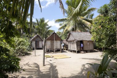  Antanifotsy köyü delta Irmağı'Antainabalana, Madagaskar