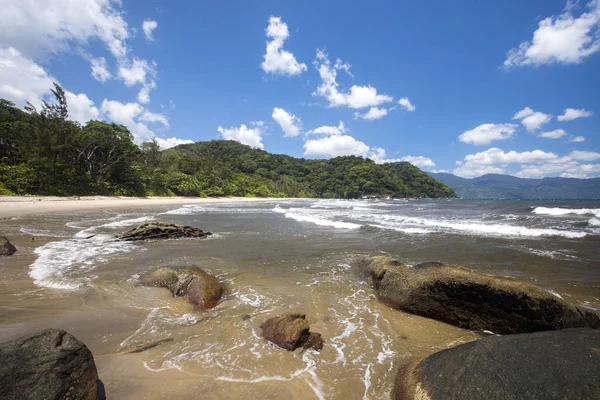 Végétation Côtière Nord Est Madagascar — Photo