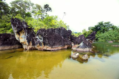 Masoala Milli Parkı, Madagaskar güzel doğa