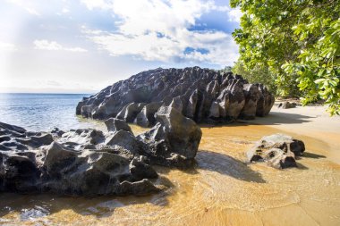 Güzel Sahil Milli Parkı, meraklı Mangabe, Madagaskar