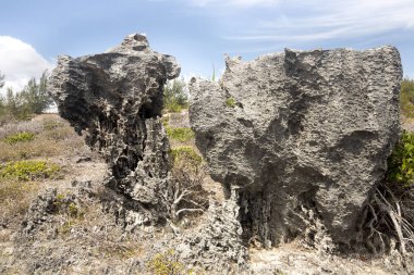 Defne Amoronia turuncu koyu Madagaskar kuzeyinde keskin kayalar ile kaplı