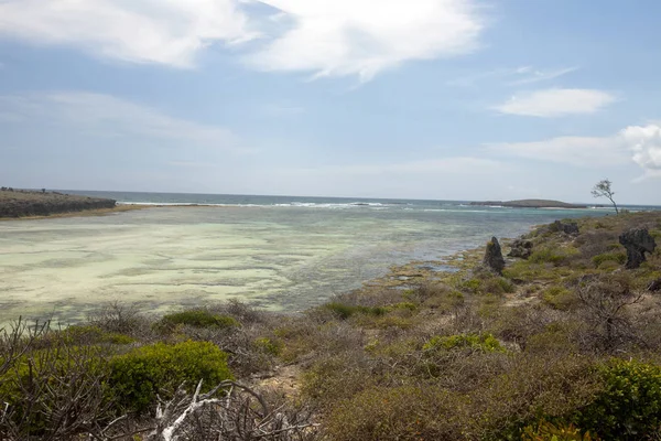 Coastal vegetation Amoronia orange bay, north of Madagascar