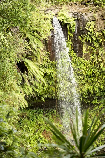 Небольшой Водопад Национальный Парк Янтарная Гора Мадагаскар — стоковое фото