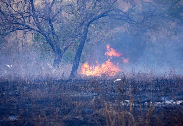 Burning Amber Mountain National Park Madagascar — Stock Photo, Image