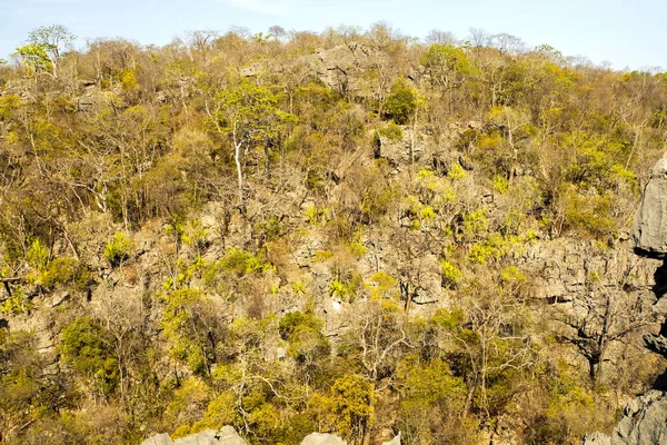 Tsingy Extraños Acantilados Piedra Caliza Reserva Ankarafantsika Madagascar — Foto de Stock