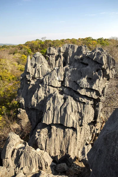 Tsingy bizarre limestone cliffs, reserve Ankarafantsika, Madagascar