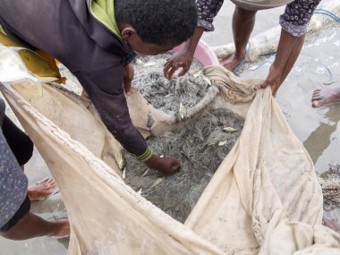  Yerel balıkçıların ağları,, Antsiranana, Madagaskar çekin