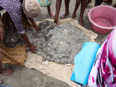  Yerli balıkçılar ağlar, Antsiranana, Madagaskar çekin