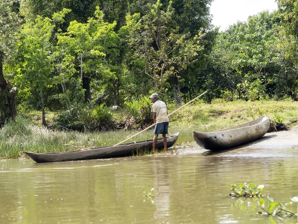  Hayat Nehri Deltası Antainambalana, Antsiranana, Madagaskar üzerinde