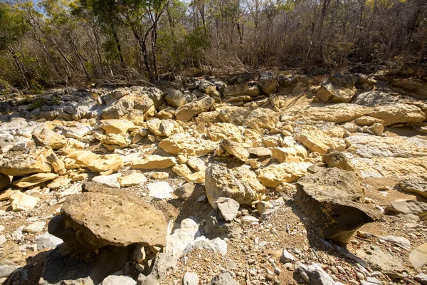 Lecho Seco Del Río Durante Sequía Reserva Madagascar — Foto de Stock