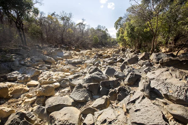 Lecho Seco Del Río Durante Sequía Reserva Ankarana Madagascar — Foto de Stock