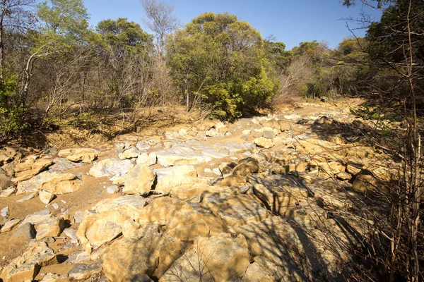 Lecho Seco Del Río Durante Sequía Reserva Ankarana Madagascar — Foto de Stock