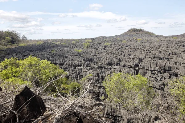 Vista Las Maravillosas Formaciones Piedra Caliza Ankarana Madagascar — Foto de Stock