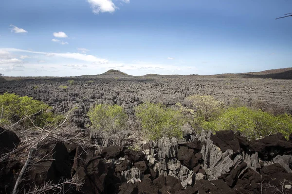 Utsikt Över Underbara Kalkstensformationer Ankarana Madagaskar — Stockfoto