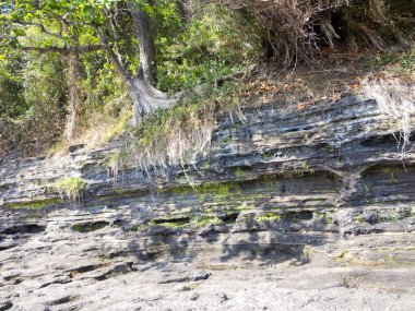 Sahil Adası, meraklı olmak, Madagaskar
