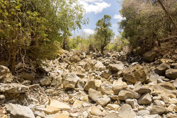 Lecho Seco Del Río Durante Sequía Reserva Ankarana Madagascar — Foto de Stock