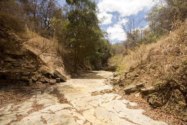 Entrada Río Subterráneo Estación Seca Reserva Ankarana Madagascar — Foto de Stock