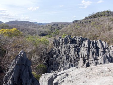 tuhaf kalker kaya oluşumları - Tsingy, rezerv Ankarana, Madagaskar