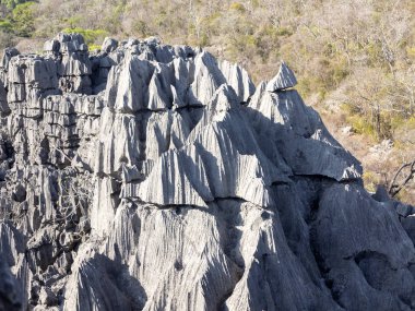 tuhaf kalker kaya oluşumları - Tsingy, rezerv Ankarana, Madagaskar