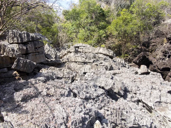 奇怪的石灰石岩石形成 Ankarana 马达加斯加 — 图库照片