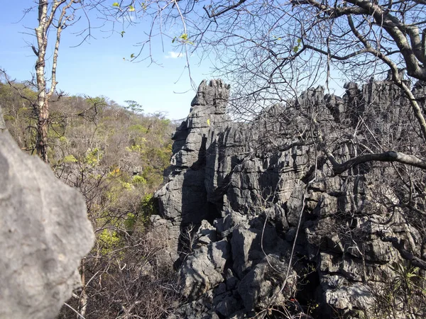 Bizzarre Formazioni Rocciose Calcaree Tsingy Riserva Ankarana Madagascar — Foto Stock