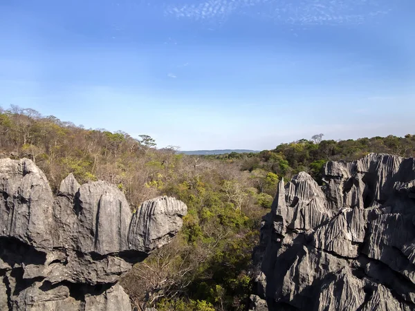 Bizzarre Formazioni Rocciose Calcaree Tsingy Riserva Ankarana Madagascar — Foto Stock