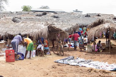 Görüntü ile kırsal Kuzey, inek Antsohihy, Madagaskar yakınındaki kulübelerin arasında 